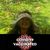 Maryam Hadiekhan Harssini's profile image
