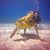 Julie Baty's profile image