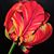 Marcella Estes's profile image