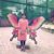 Swathi Adusumilli's profile image