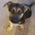 Rich N Debbie Scheeff's profile image