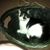 Mary Forney's profile image