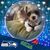 Mary Haataja's profile image
