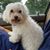 Sylvia Velez Ronning's profile image