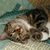 Marjorie McFarland's profile image