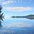 Melinda Sis Proffitt's profile image