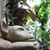 Vivian R. Whorley's profile image