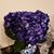 Patricia Camacho's profile image
