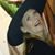 Julie Gohmann-Spirito's profile image