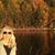 Sally Webb's profile image