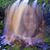 Debbie Corley Queen's profile image