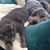 Kevin J. Lawner's profile image