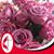 Christie McDaniel Noll's profile image
