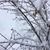 Judith Wemstrom-Rubeck's profile image
