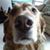 Dan Ripani Sr.'s profile image