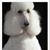 Terry Pivec's profile image