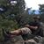 Brian Clark's profile image