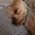 Donna Walker Walley's profile image