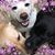 Linda Nicholson's profile image
