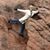 Judy Cheeseman's profile image