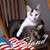 Mary-Barry Nelson's profile image