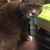 Lorrie Stuckey's profile image