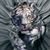 Joel DeFilippis's profile image