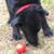 Eileen Vanover's profile image