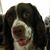 Vince Clark's profile image