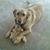 Darla Artuso's profile image