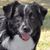 Tammy Gissendaner Cease's profile image