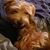 John A. Rhodes's profile image