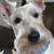 Lu Ann Brooks's profile image
