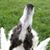 Elaine Kilmer's profile image