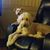 Julie Diehl's profile image