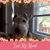 Sarah Jane Bremer's profile image