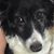 Pam Mesker Pierce's profile image