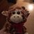 Sandy Pennicuff's profile image