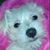 Christine Clisham's profile image