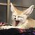 Jennifer Pesina's profile image