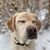 Erica Satterwhite Herbert's profile image