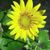 Penny Mckeever's profile image