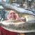 Debby Wittler Davis's profile image