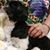 Cynthia Canter Grubbs's profile image