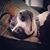 Bridgette Swab Marshall's profile image