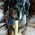 Bernie Neuhaus's profile image