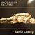 David Lohrey's profile image