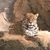 Jolene Etter's profile image
