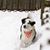Jeanette Gamache Marshall's profile image