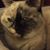 Eloise Ganey's profile image